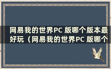 网易我的世界PC 版哪个版本最好玩（网易我的世界PC 版哪个版本最好玩）